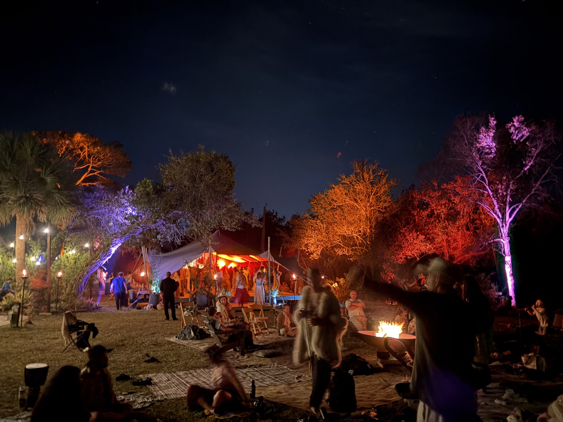 Large outdoor night event with colored uplighting across the tree line